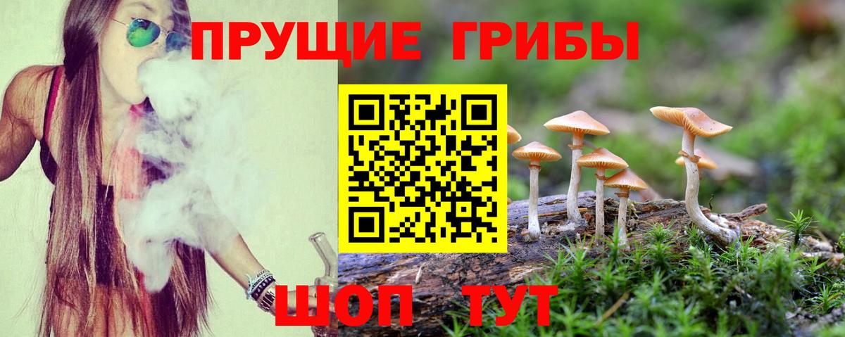 Орехово-Зуево  где купить наркоту  Вход с VPN  Псилоцибиновые грибы мухоморы  Псилоцибиновые грибы мухоморы 